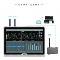 TP1100 無線數(shù)據(jù)記錄儀